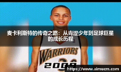 智博19有限公司