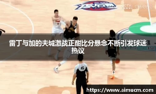 雷丁与加的夫城激战正酣比分悬念不断引发球迷热议