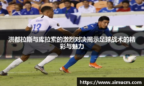 智博19